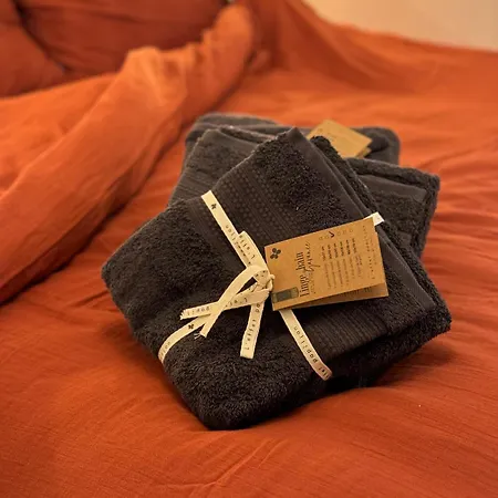 Les Toits De פריז